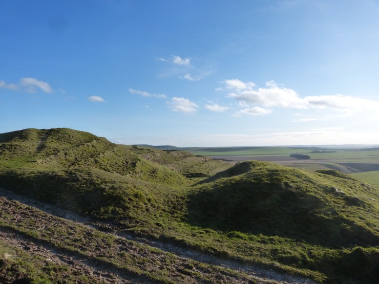 Oldbury Castle Ramparts close up