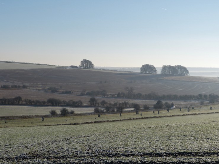 West Kennet Avenue (2)